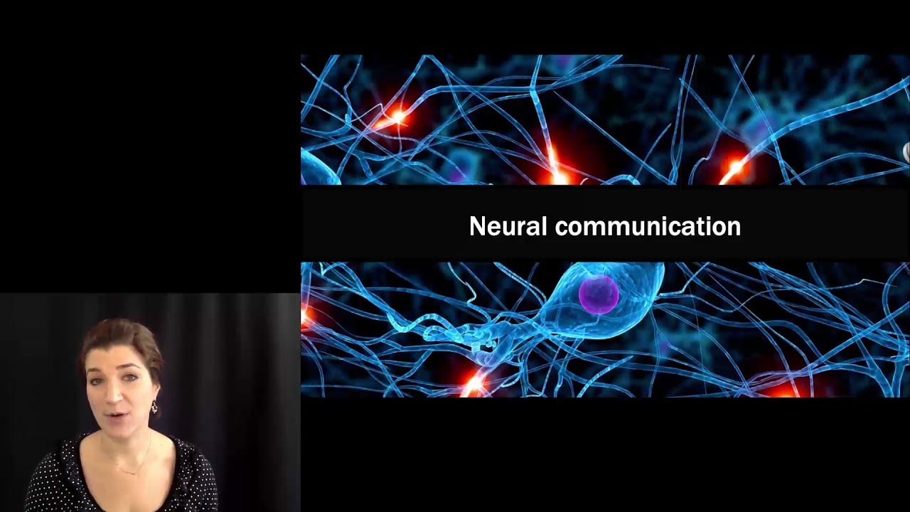 [Psyc220] 02 Neural Communication