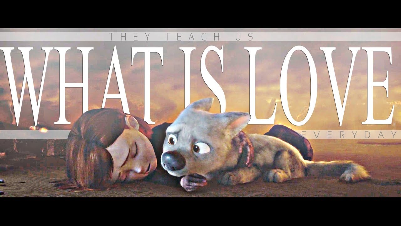 They teach us what is love every day | dogs multifandom