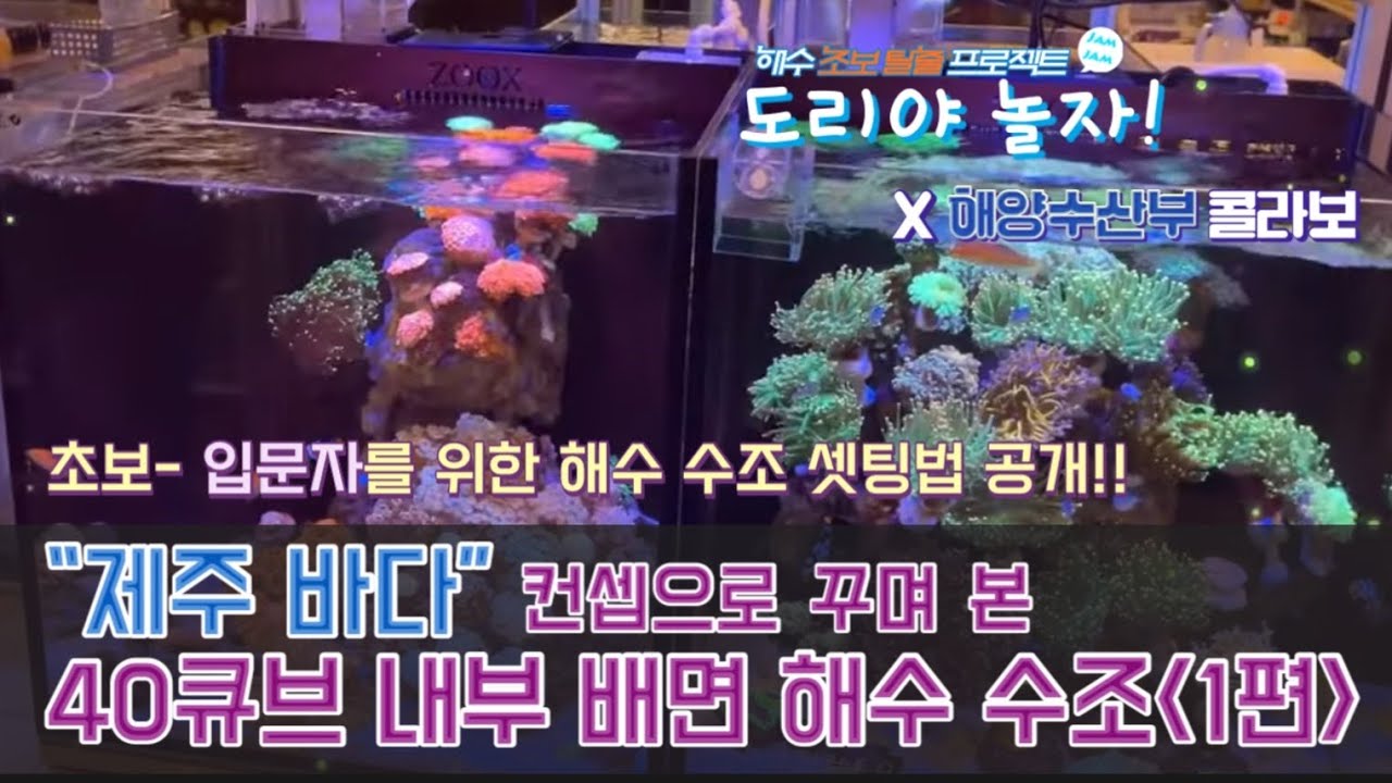 45큐브 내부 배면수조로 제주바다 만들기 1편 (feat. 해양수산부)
