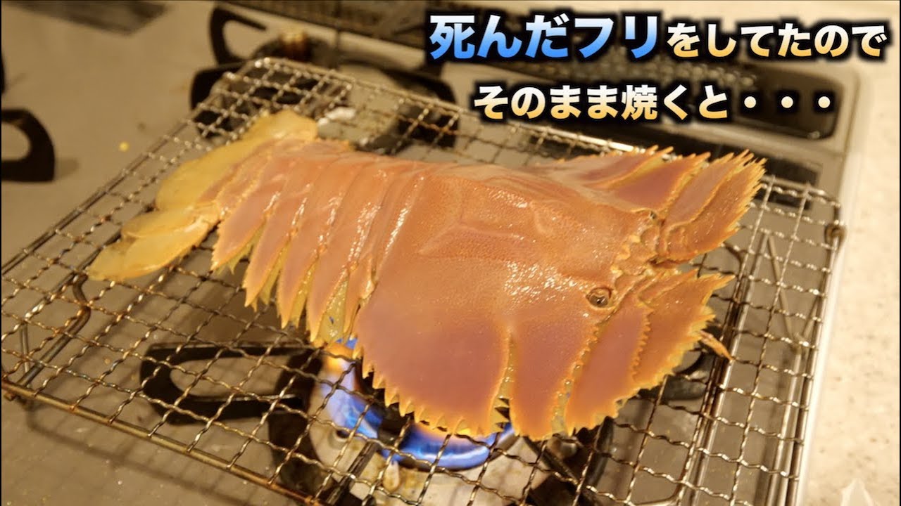 究極の味！！死んだフリをしたエビをそのまま焼いたら驚きの行動に。。。