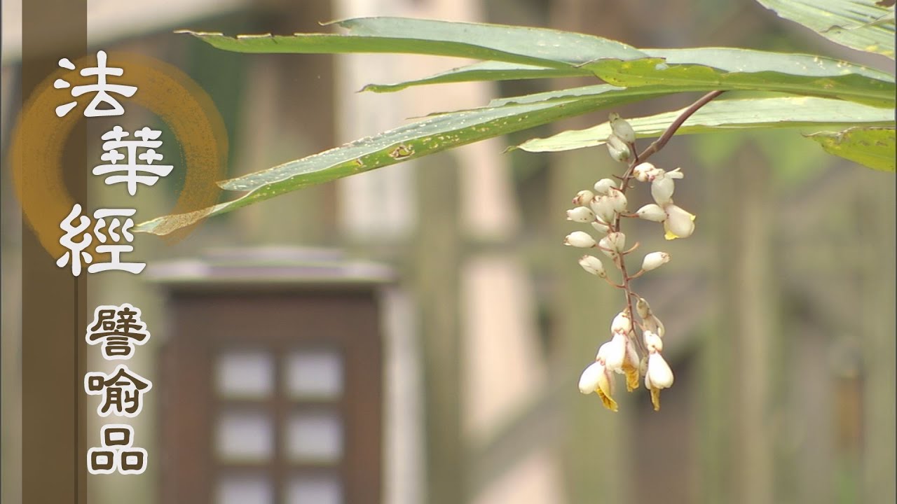 【靜思妙蓮華】法華經譬喻品 - 五分法身 慧命永恆 - 20201202 第578集
