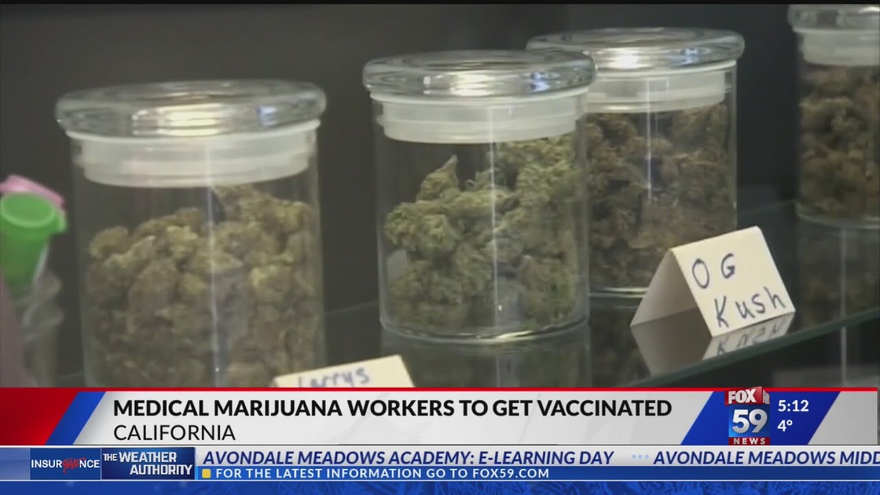 Medical marijuana workers to get vaccinated in California
