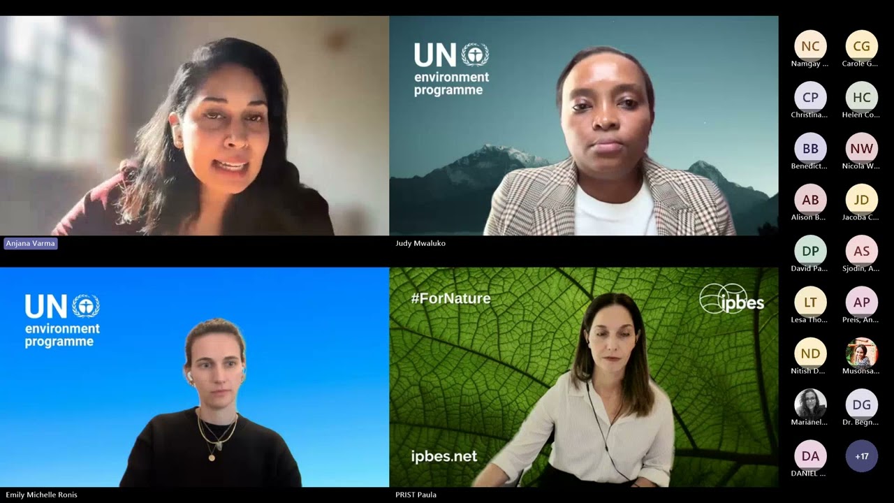 WEBINAR SERIES &middot; Dialogue on Upstream Prevention Before the Spillover with Dr. Paula Ribeiro