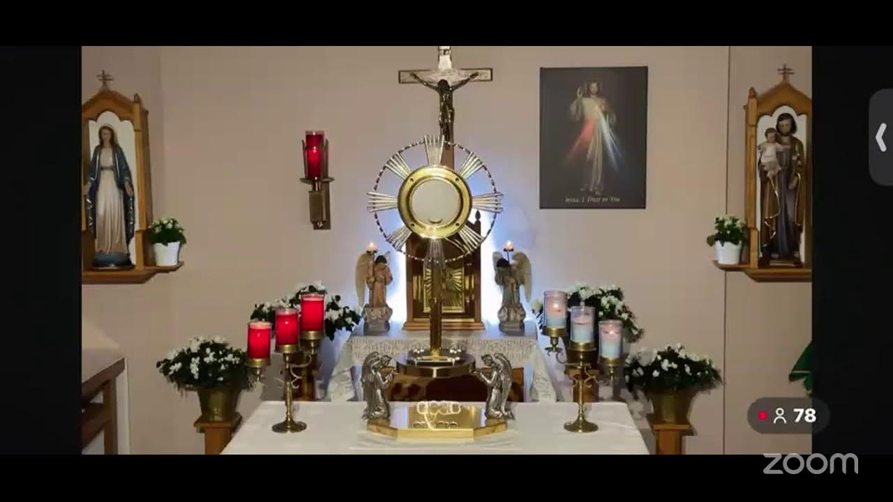 Adoration Hour, Divine Mercy(Reflection on Diary 34-Sr Faustina) & Mother of Perpetual Help Chaplet