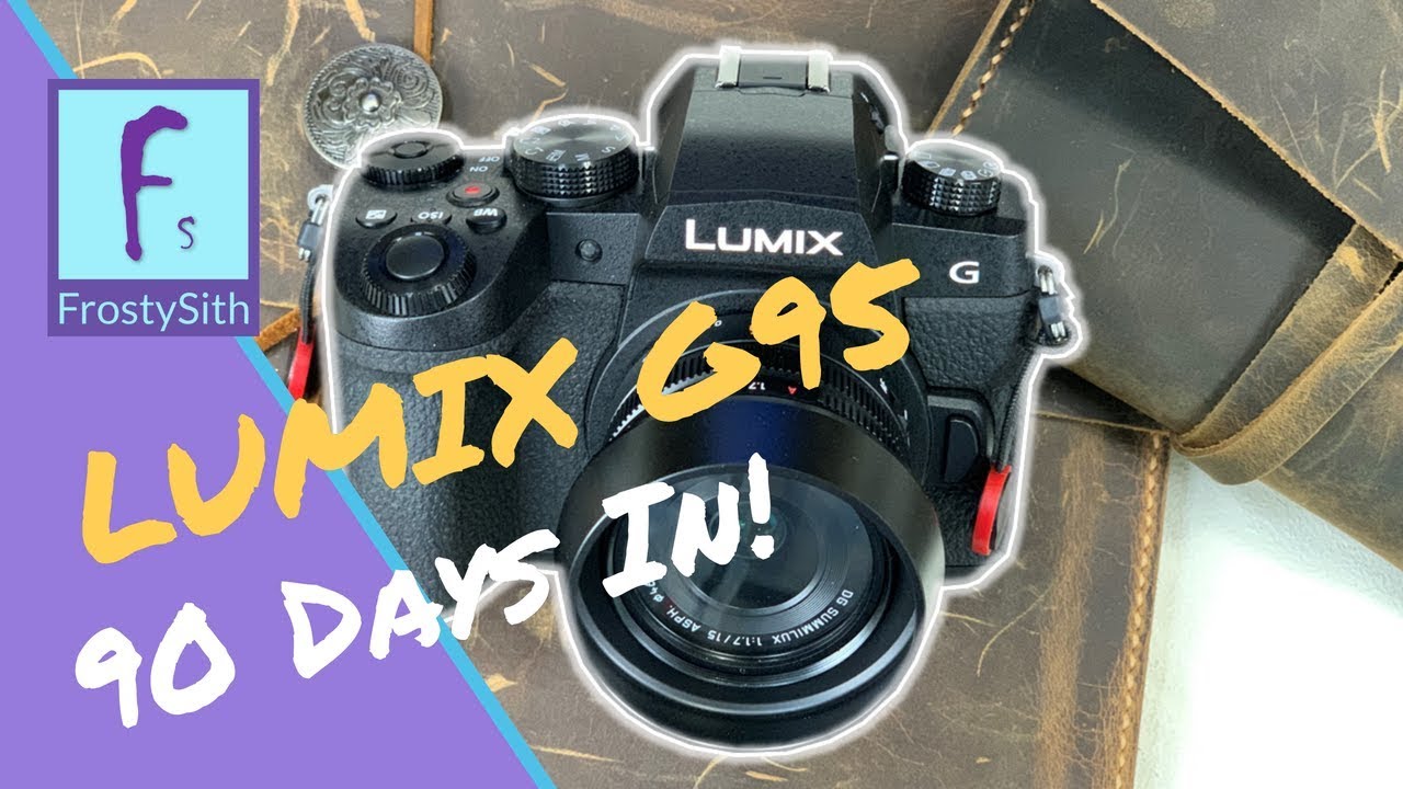 Lumix G95 Camera - 90 Days In!