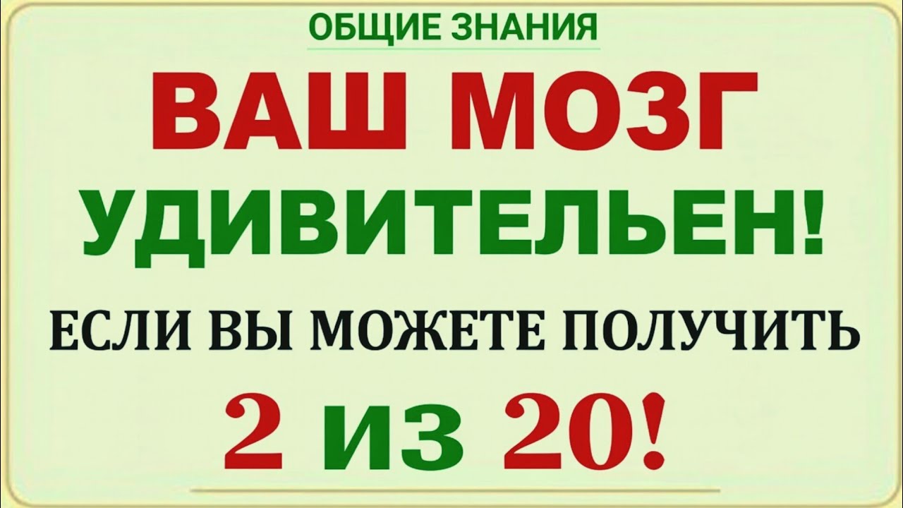 Удивительные факты, которые ты точно не знал 🌍