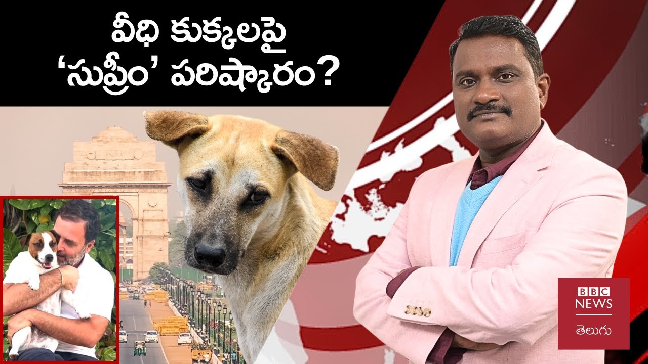 8 వారాల్లో దిల్లీలో వీధి కుక్కలు కనిపించకూడదన్న సుప్రీం ఆదేశంపై  చర్చ ఏమిటి? | Weekly Show with GS