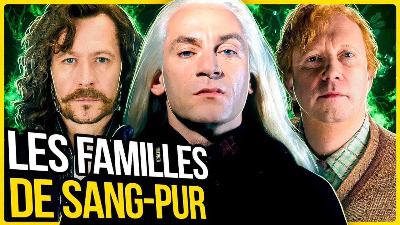 Les 55 familles de sorciers au sang-pur dans Harry Potter : tu les connais toutes ?
