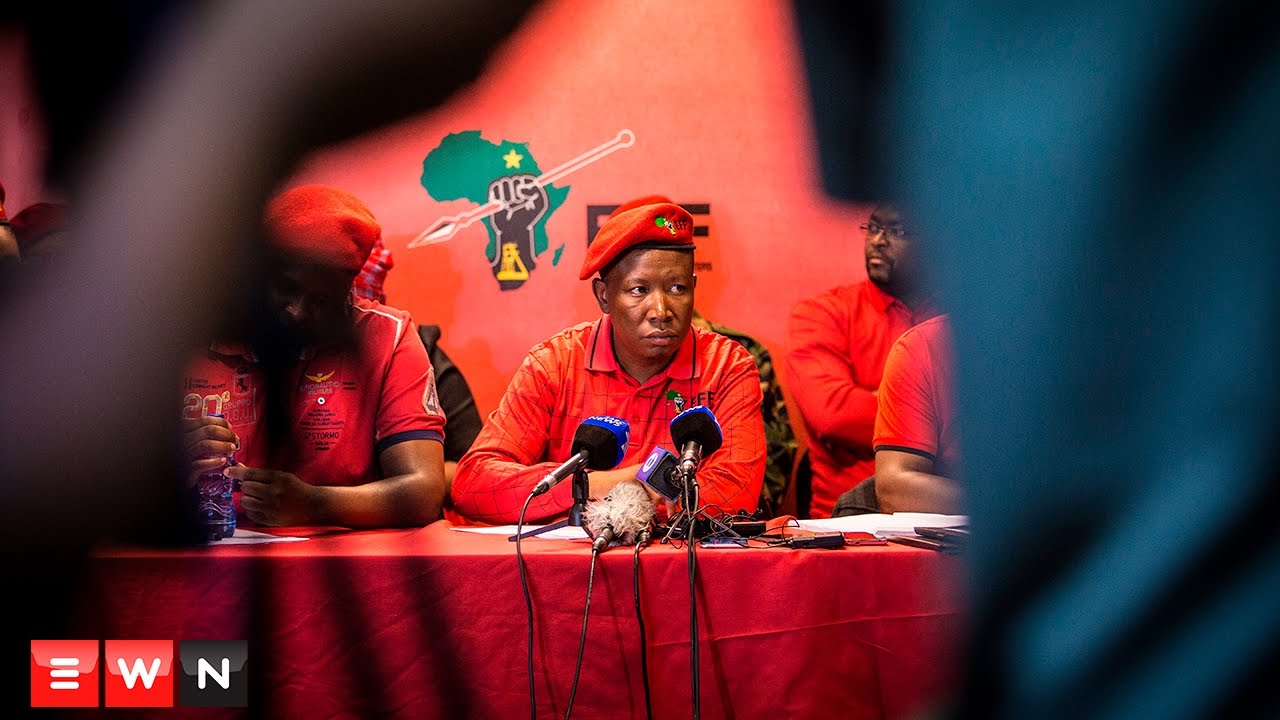 Malema slams Gordhan charges: 'You're a joke, Shaun Abrahams'