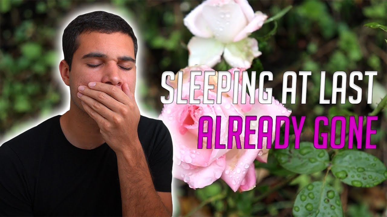 Sleeping at Last - Already Gone (REACTION!!)