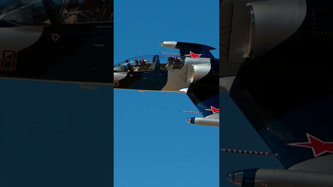Cool Aero L-39 Albatros military trainer