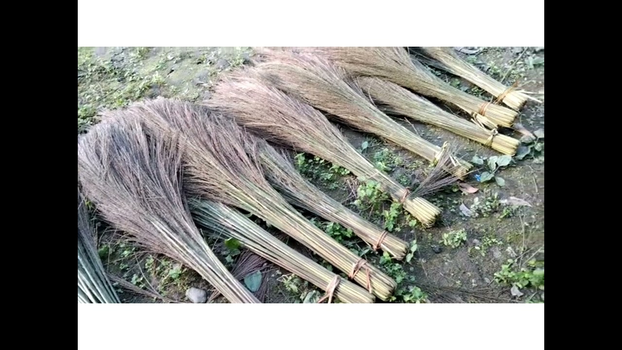 Broom making (phool jhadu) simple & easy way to bind/make Broomstick 🧹 #bolung_lowerdibangvalley_AP