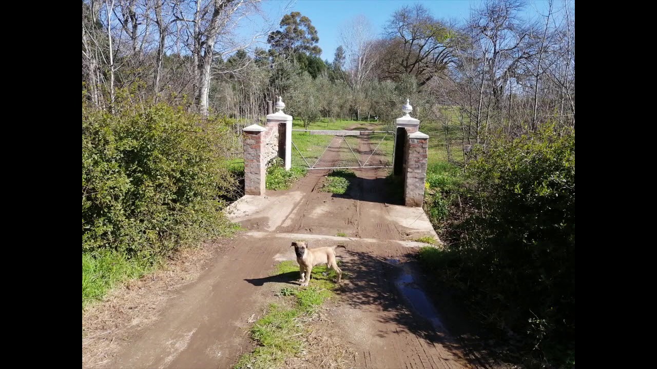 The Road Less Travelled to Underhill Eco Farm