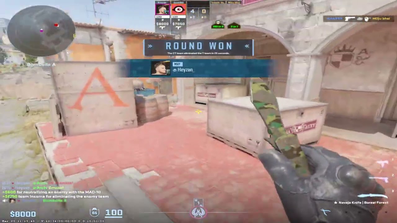 Destroying Everyone in Wingman (CS2)