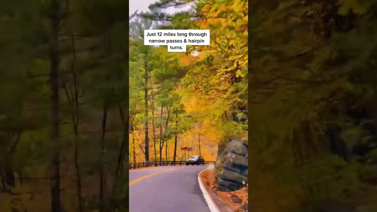 Most scenic Fall Foliage drive in the Catskills #catskills #fallfoliage #newyorkstate