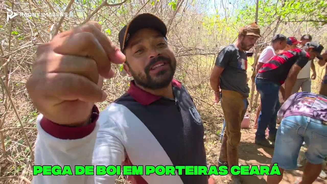 Pega de Boi no Mato - Porteiras Ceará 