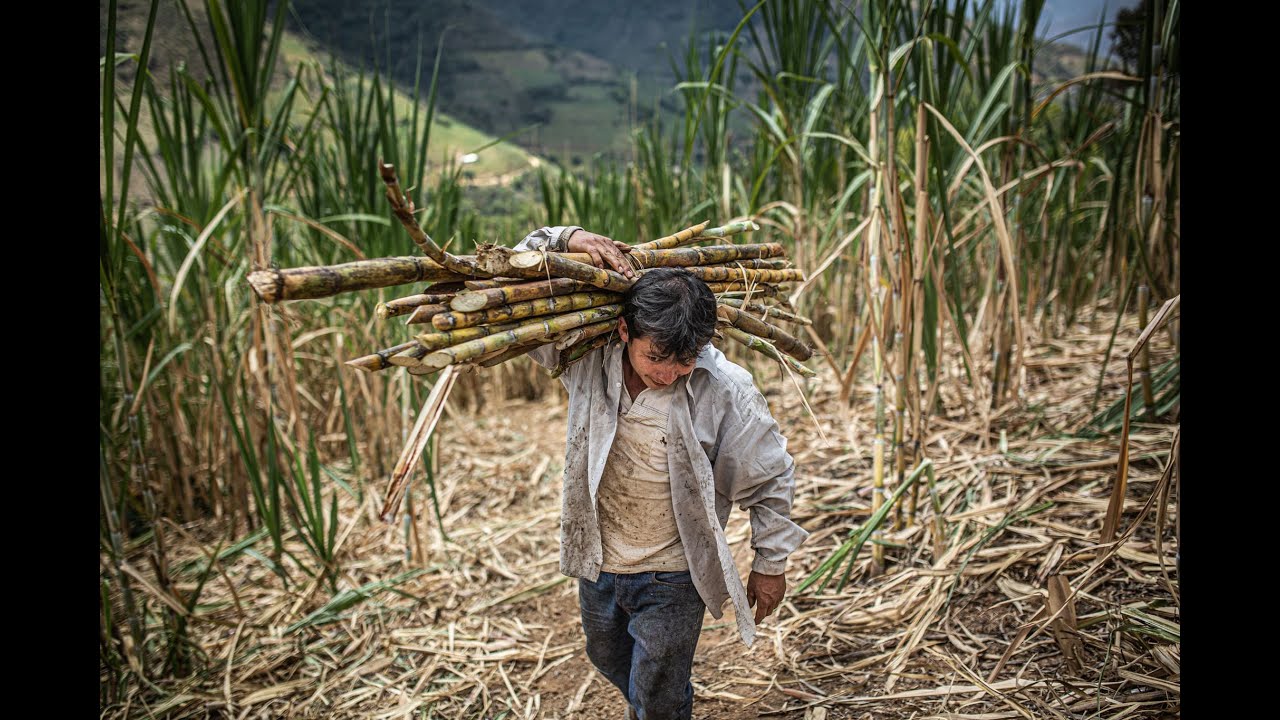 Diario de Serafín - Productor de panela de comercio justo - Oxfam Intermón