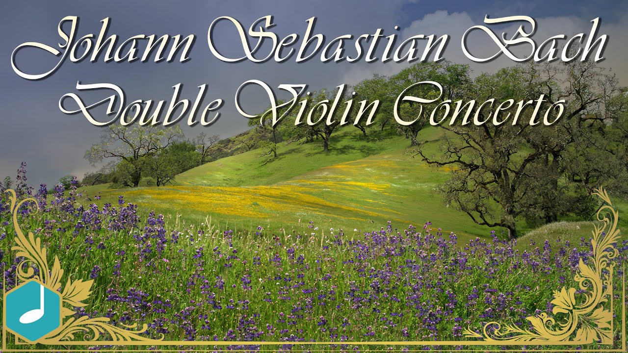 J.S. Bach - Double Violin Concerto in D minor - 2nd Movement, Largo Ma Non Tanto (BWV 1043)