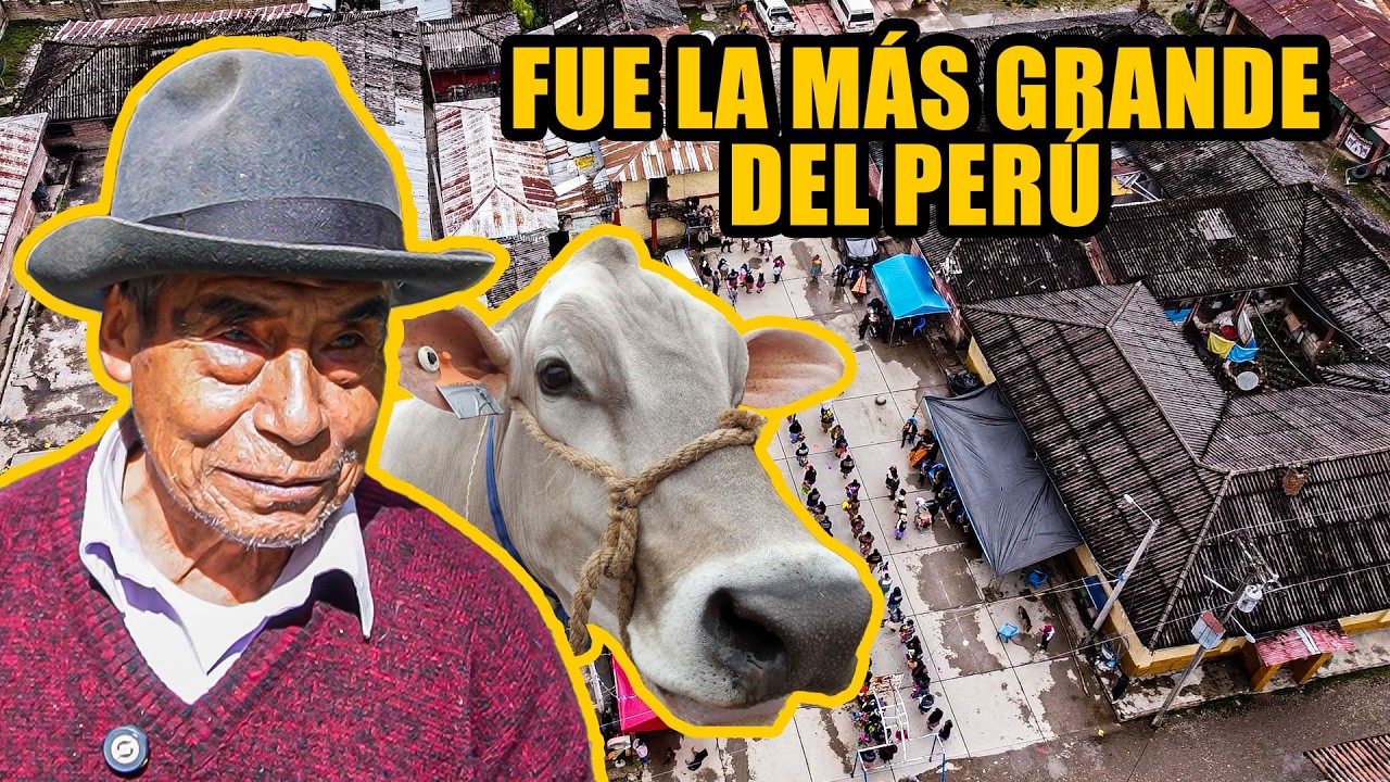 El IMPERIO GANADERO 🐄 del Centro del Perú | Runatullo