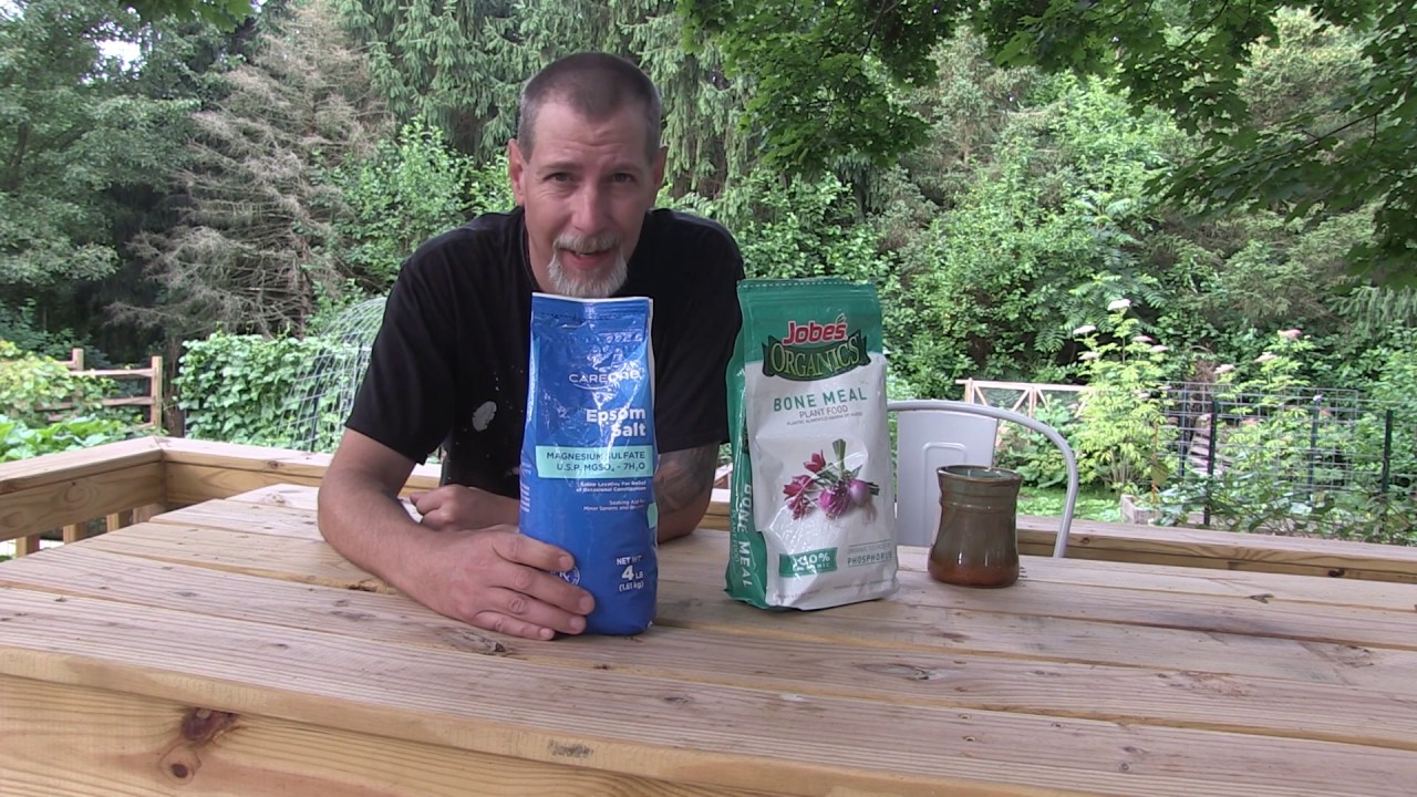 Blossom End Rot on your Tomatoes. What you can do (or not do) to fix it!
