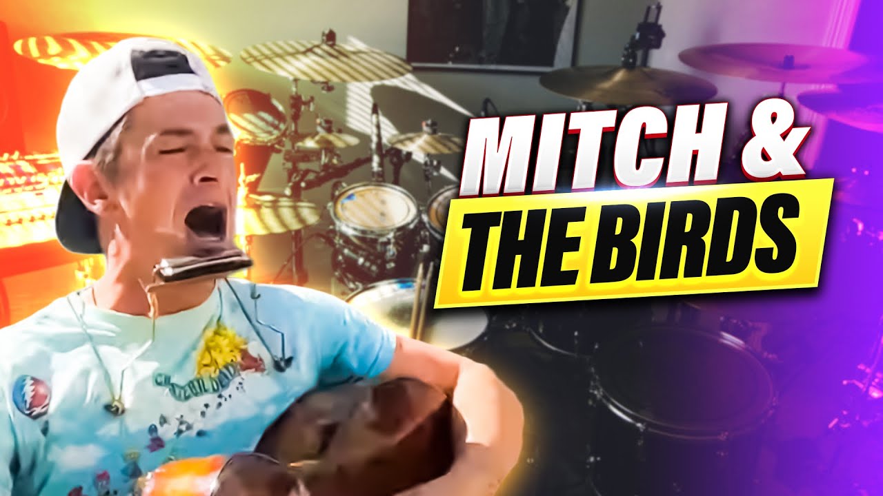 Mitch and the Birds