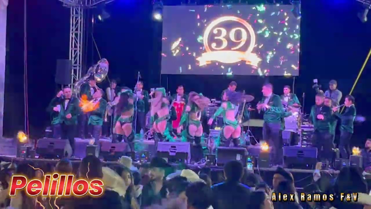 Banda Pelillos 