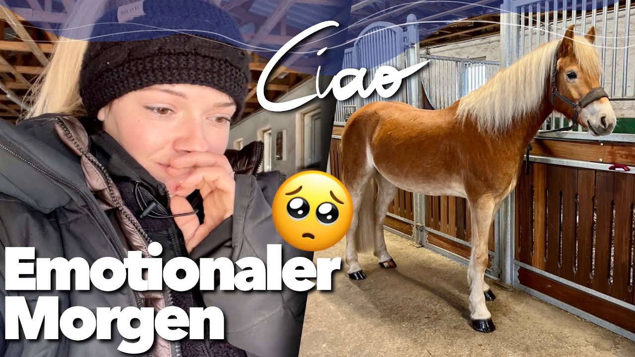 Große Tränen bei Momo 🥺 | Walenzio ist verkauft | Weekly Vlog #239