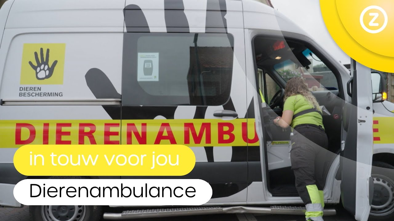 In touw voor jou, Dierenambulance