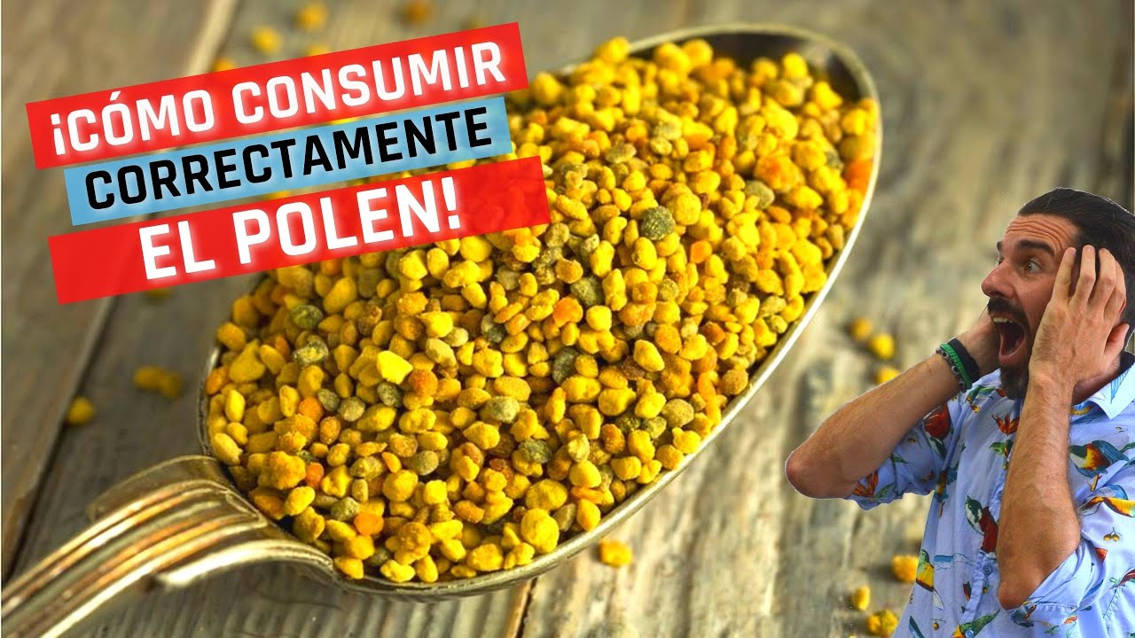 MITOS Y VERDADES SOBRE EL POLEN – Alimentación saludable y suplementos dietarios - Pablo Martin Chef