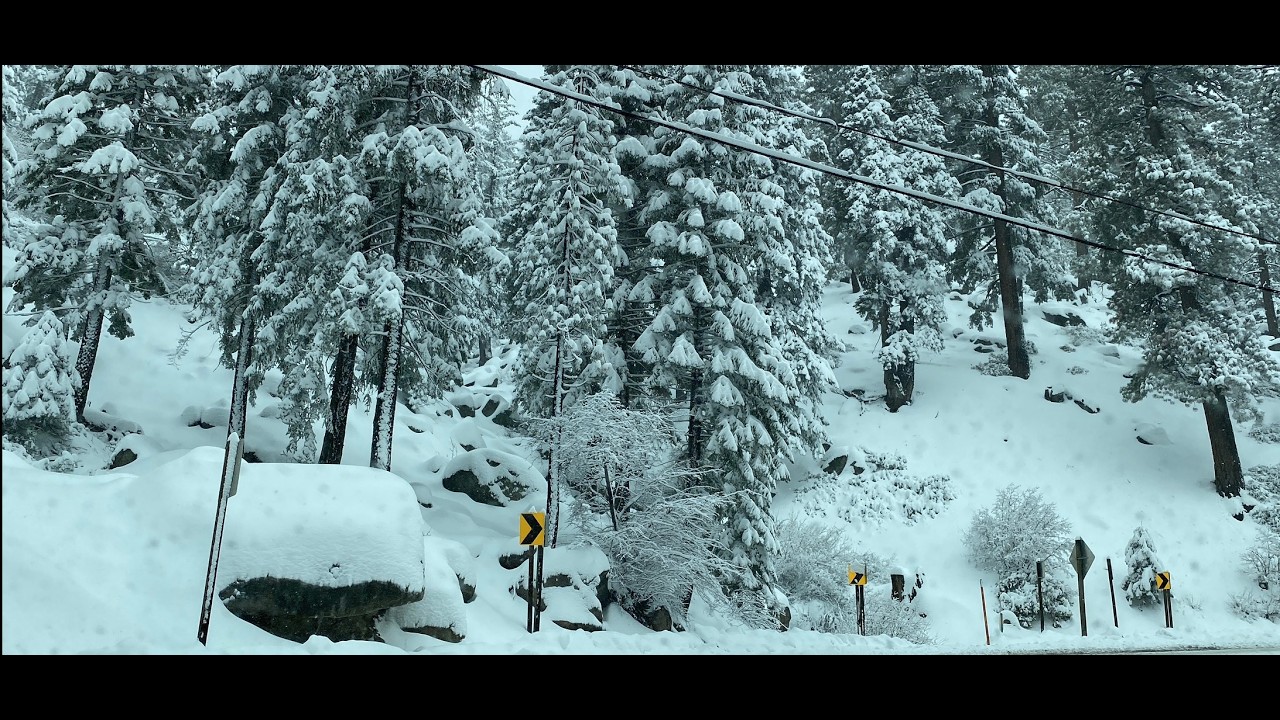 ❄️Big Bear, CA Big Snow⛄️Part 2 Has Begun. About to Get Super Heavy This Evening 2/17/2026