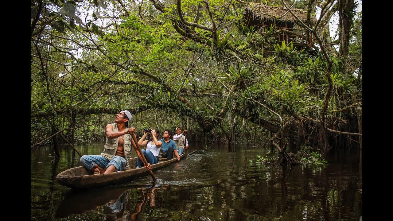 TINGANA - Ecoturismo / Aguajales Renacales del Alto Mayo, Tingana