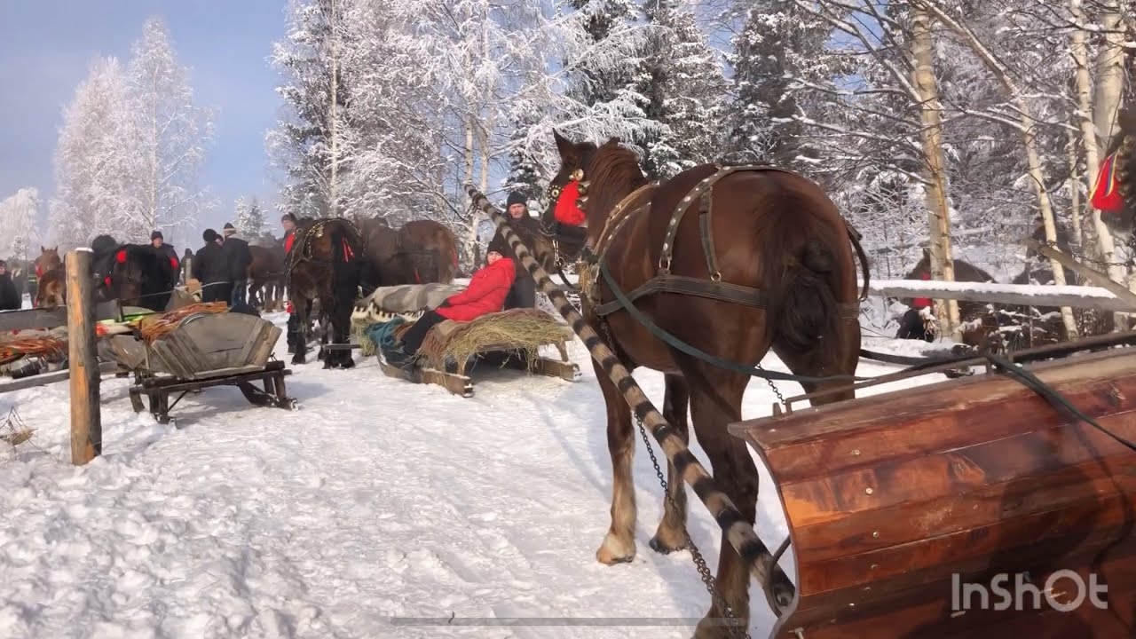 Зʼїзд Бутинарів в Космачі👍Незабутня поїздка🥰
