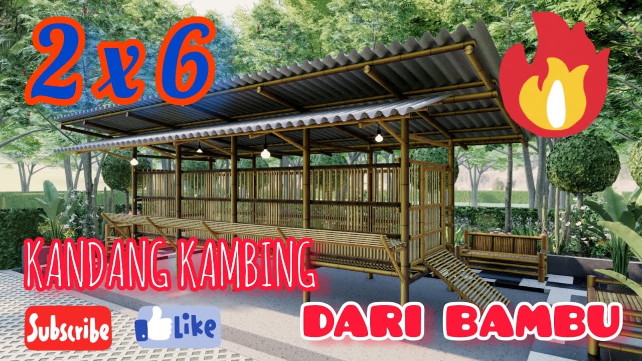 Cara Membuat Kandang Kambing dari Bambu #kandangkambing #kandang #bambu #kandangkambingsederhana