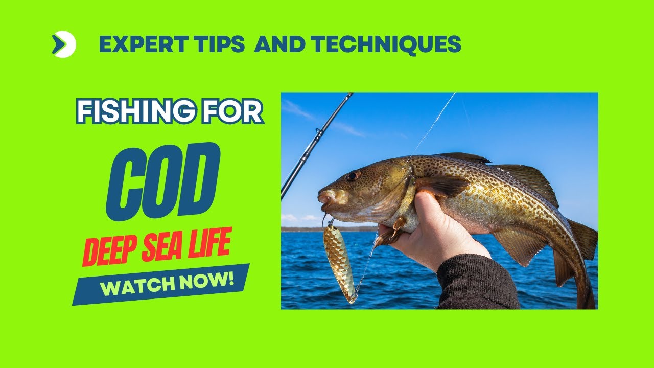 Secrets To Successful Cod Fishing: Essential Tips for Beginners!