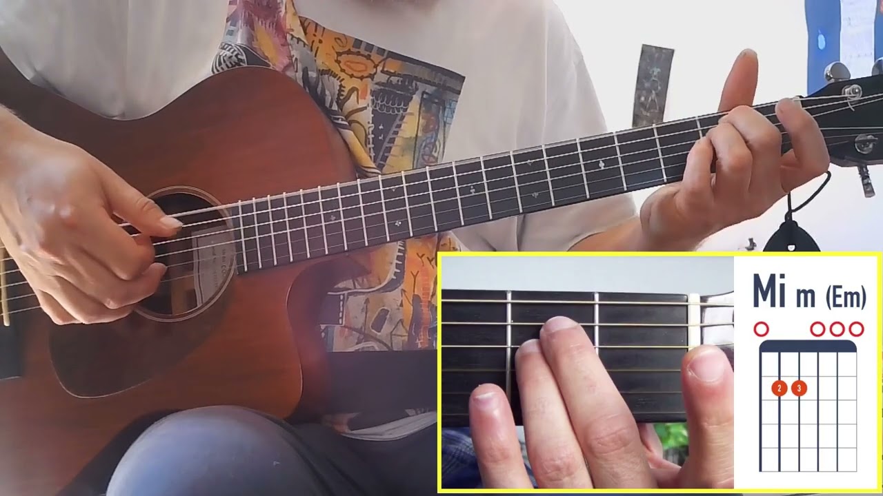 Lily - Pierre Perret - tuto guitare pour cette magnifique chanson