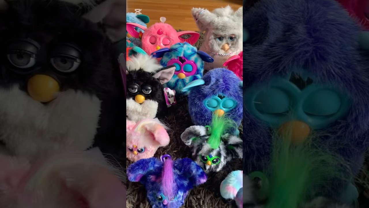 Furby!!! { #furby #furbyboom #furby2012 #hasbro #collection #therian #antizoo #furry #silly }