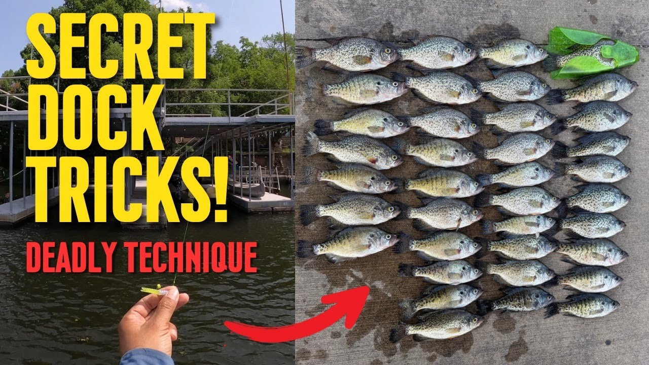 How to Dock Shoot for Slab Crappie (Step-by-Step!) #crappiefishing #dockshooting #crappie #fishing