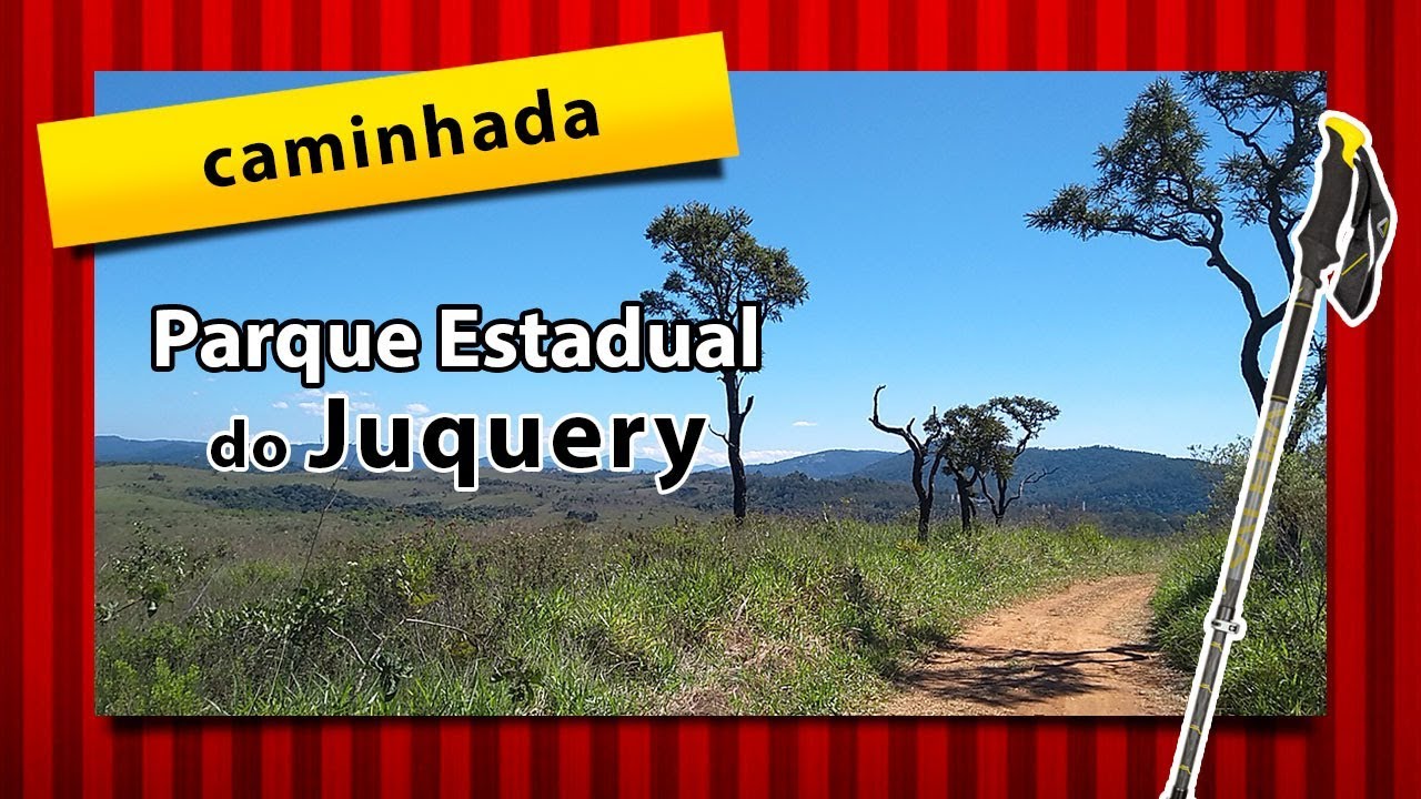 Trilha Ovo da Pata no Parque Estadual do Juquery. Um fragmento de cerrado perto de São Paulo.