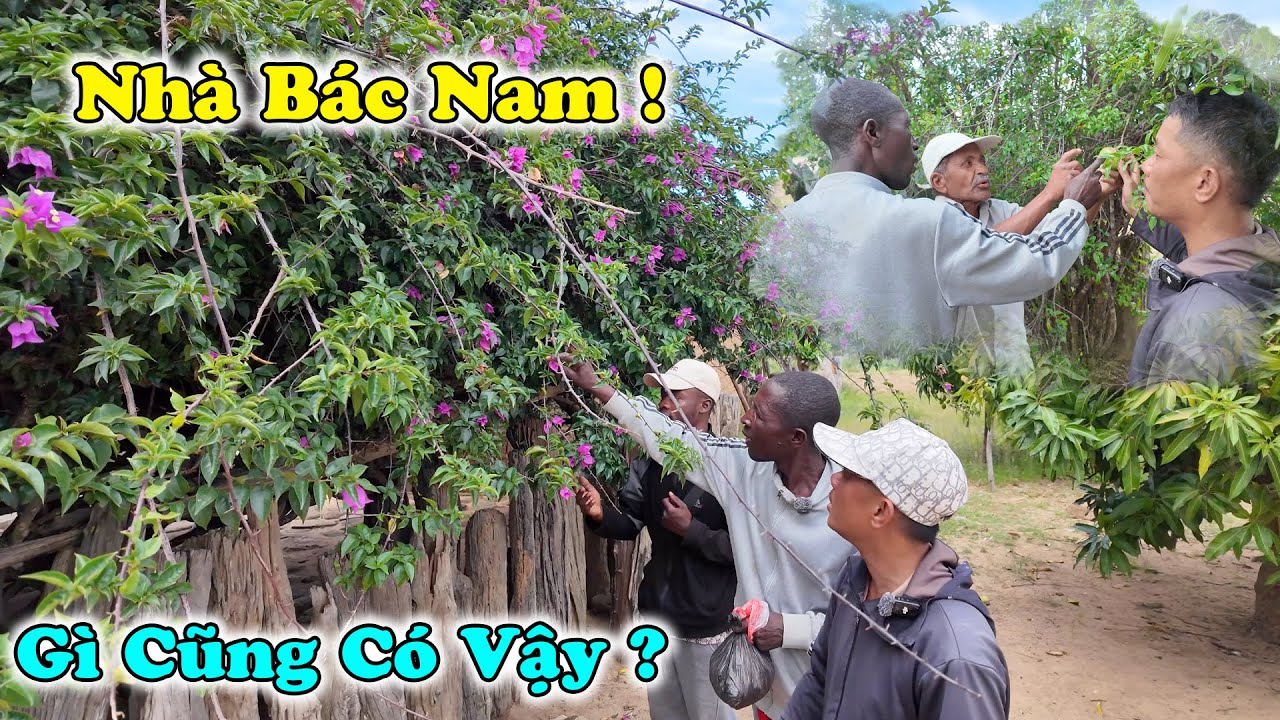 Món Quà Đặc Biệt Mà Bác Trưởng Bản Kaqua Cùng Với Người Dân Dành Tặng Cho Bác Nam ! Món Quà Quê !!!