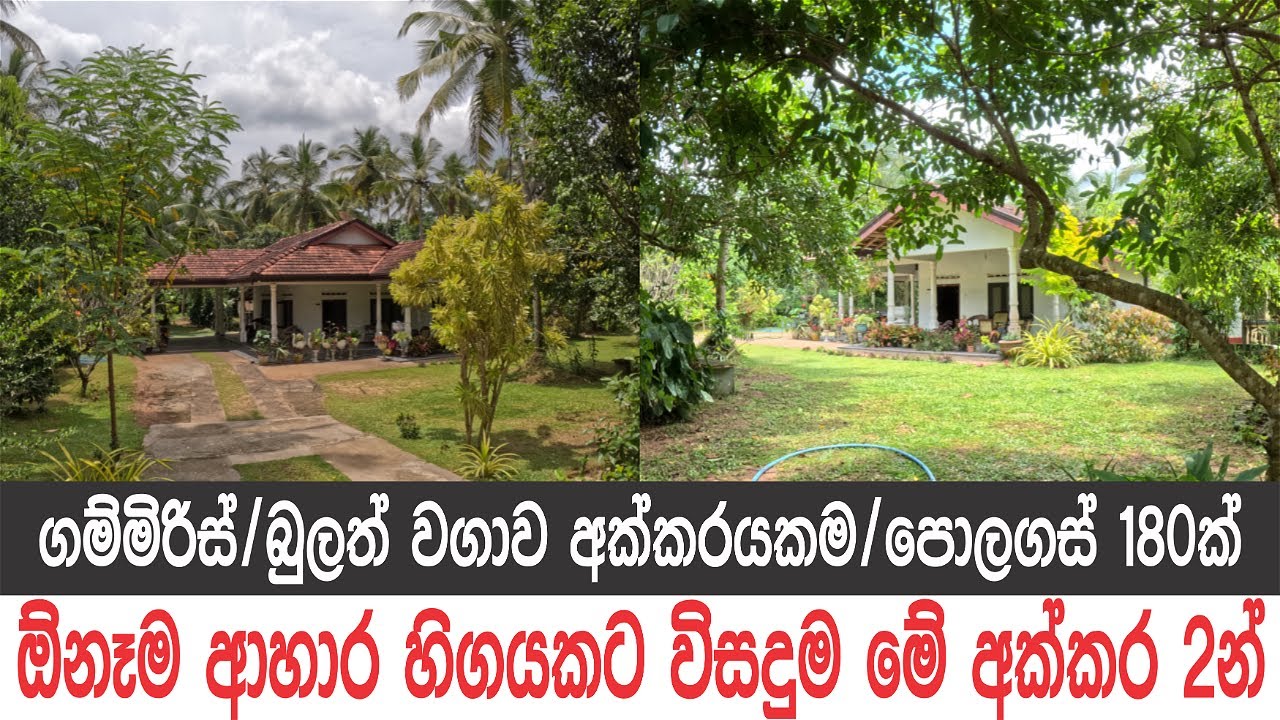අක්කර 2යි, ගෙදරයි, පොල්ගස් 130යි, ගම්මිරිස්,බුලත් අක්කරයකම, දැවැන්ත එළවලු, පළතුරු වගාවක්