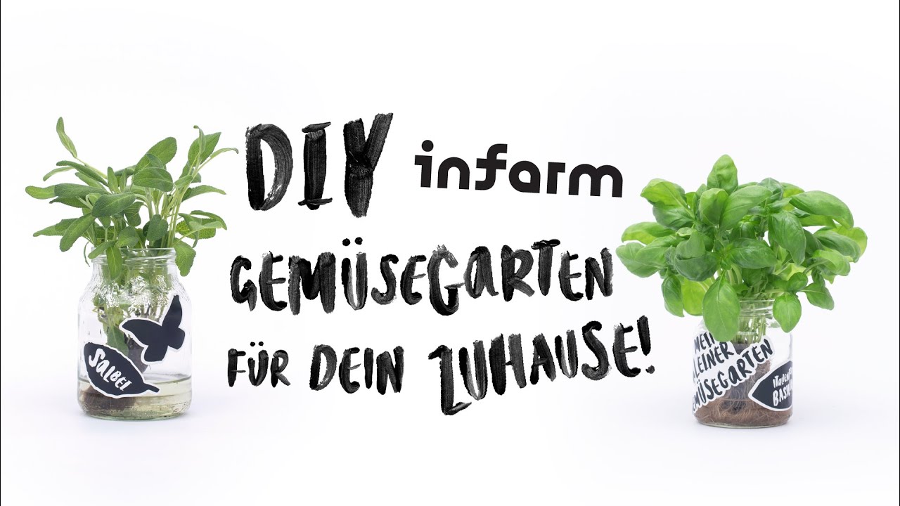 🌿DIY | Gestalte deinen eigenen kleinen Gem&uuml;segarten f&uuml;r dein Zuhause | Infarm