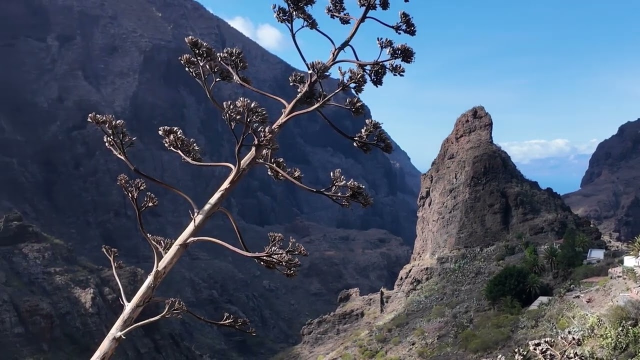 Tenerife, Masca