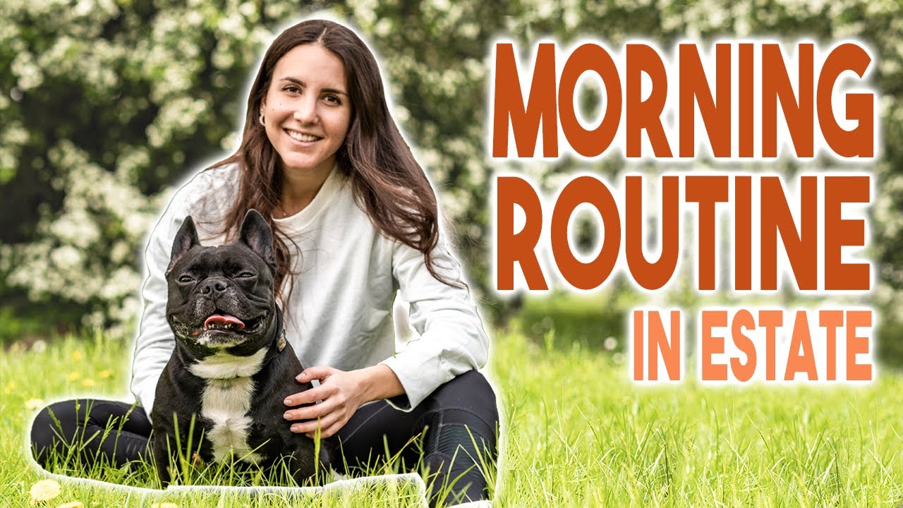 MORNING ROUTINE DI UN BULLDOG FRANCESE IN ESTATE ☀️🐶