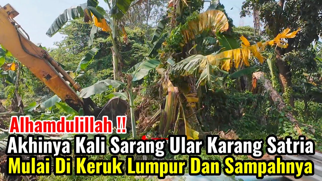 Alhamdulillah‼️Akhirnya Kali Sarang Ular Predator Mulai Di Keruk Lumpur Dan Sampahnya