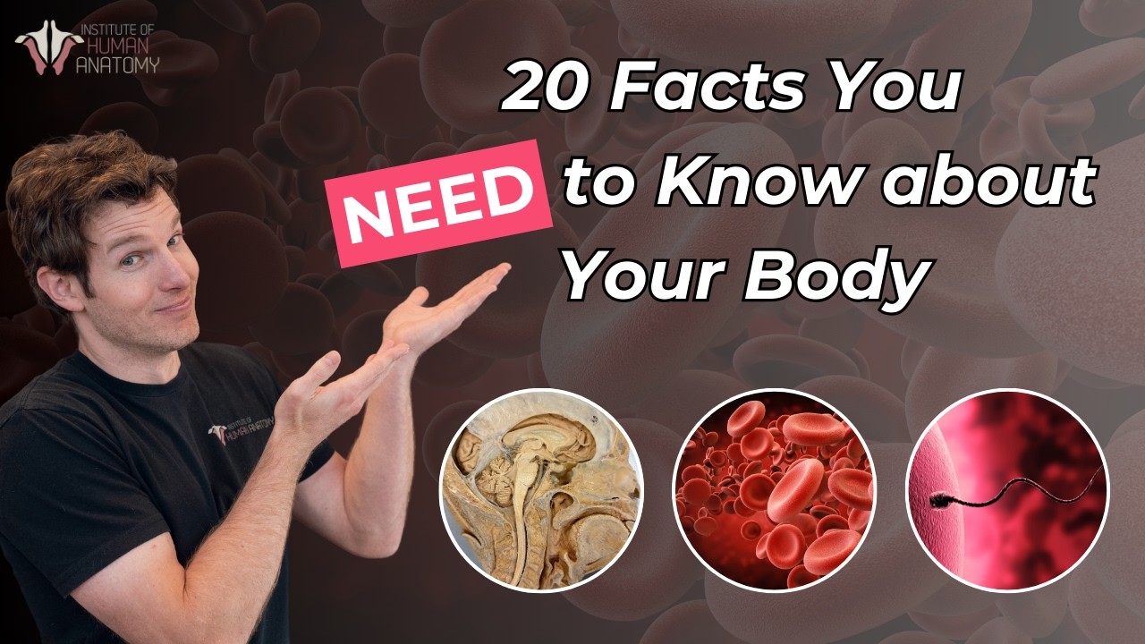 Do You Know These Incredible Facts About the Human Body?