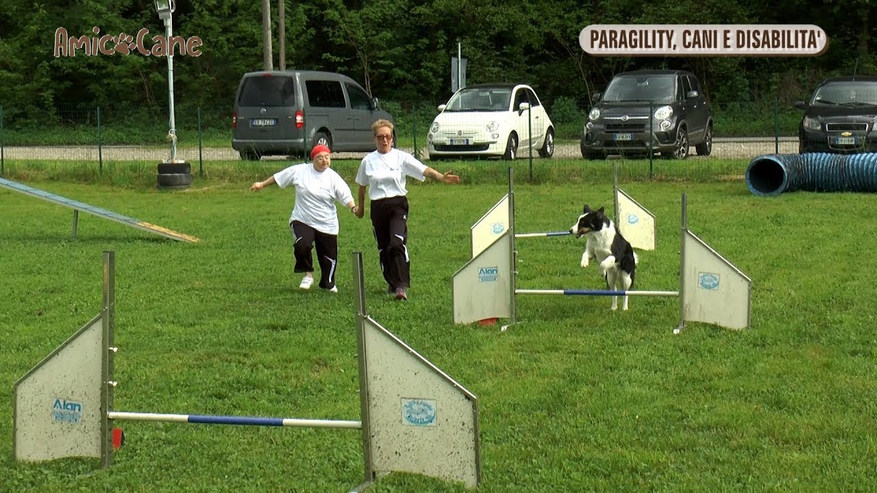 La ParAgility, cani e disabilità - Amico cane