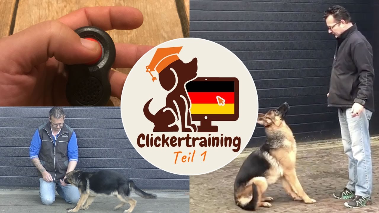 Teil 1: Clickertraining f&uuml;r Einsteiger - Kostenloser clickertraining Kurs