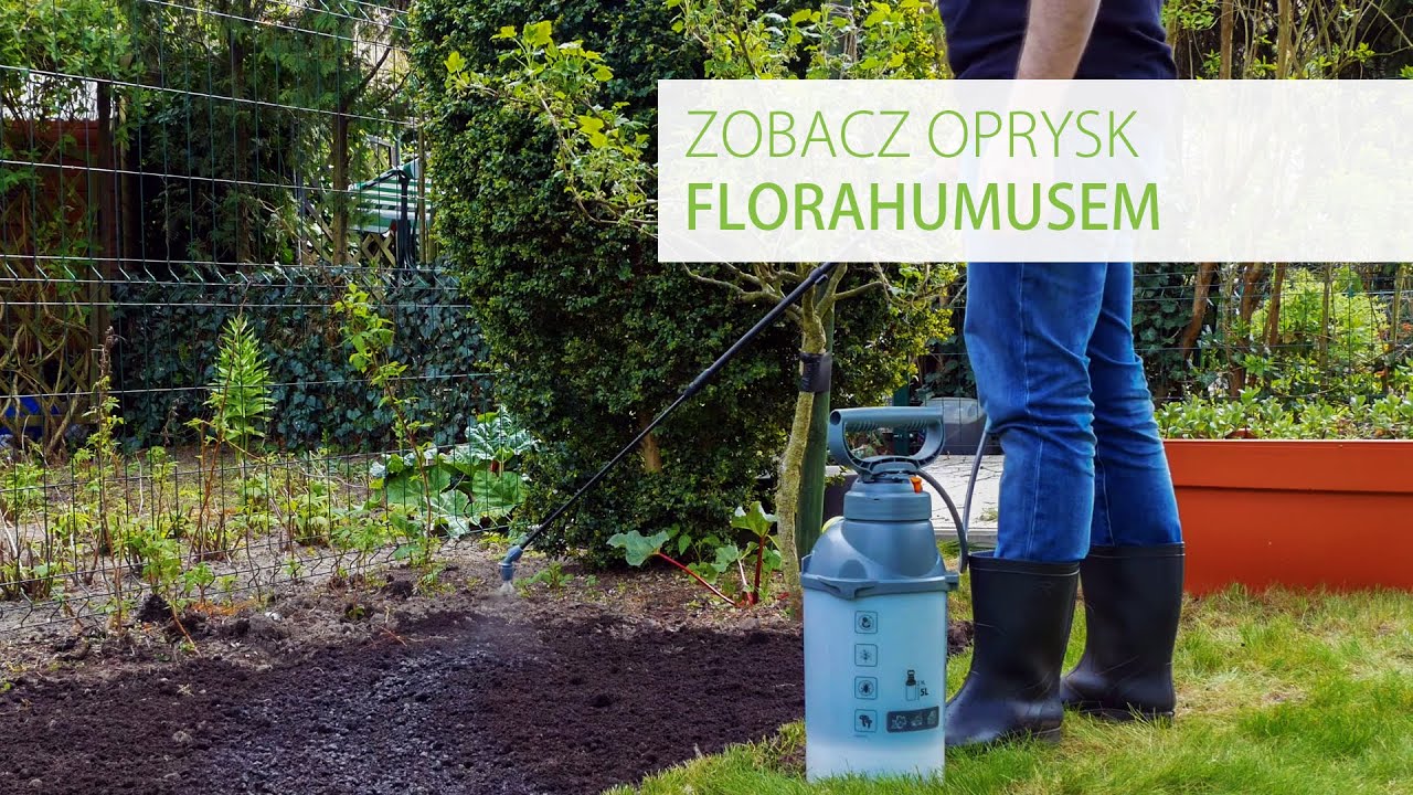 FLORAHUMUS - jak wykonać oprysk gleby kwasami humusowymi?