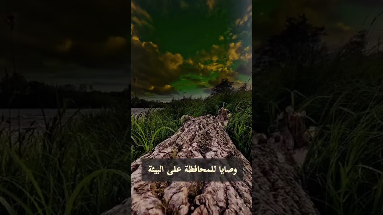 وصايا للمحافظة على البيئة