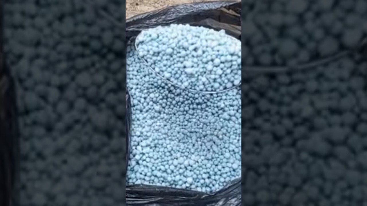 Rahasia fermentasi pupuk NPK mutiara video selengkapnya 👇 